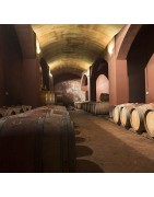 Degustazioni, eventi e visite guidate della nostra Cantina